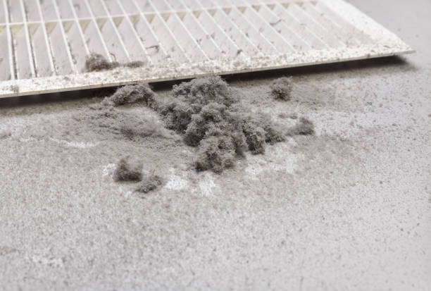 Best Affordable Air Duct Cleaning  in Eastpointe, MI