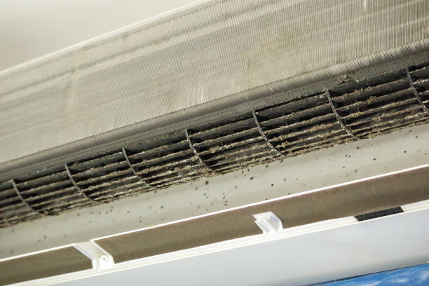 Best Affordable Duct Cleaning Services  in Eastpointe, MI